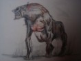 /album/bestiar/img-8606-jpg1/